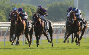 Excellent Proposal (left) and Butterfield (right) place in last year’s Chevalier Cup. Photo: Kenneth Chan