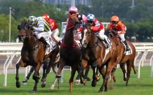 Beauty Eternal and Zac Purton run into the last of several dead ends at Sha Tin on November 6. Photo: Kenneth Chan