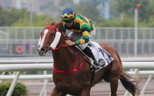 A Pal costs to victory under Derek Leung at Sha Tin on November 6. Photo: Kenneth Chan
