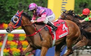 Excellent Peers goes back to back at Happy Valley on November 16. Photo: Kenneth Chan