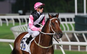 Zac Purton returns to the Sha Tin winner’s enclosure aboard Beautyverse on November 6. Photo: Kenneth Chan