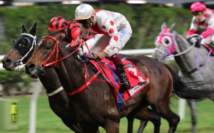 Frankie Lor’s Looking Great wins the Class Two Chek Keng Handicap (2,200m) under Karis Teetan at Happy Valley on Wednesday night. Photos: Kenneth Chan