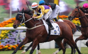 Angus Chung steers Ima Single Man to win the Class Two Cherry Handicap (1,200m) at Sha Tin on New Year’s Day. Photo: Kenneth Chan