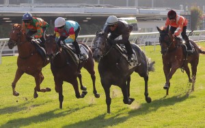 Tony Millard-trained import Wings Of War trials under Karis Teetan (black colours) at Happy Valley on December 23. Photo: Kenneth Chan