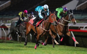 Romantic Warrior wins his trial at Sha Tin on Tuesday morning. Photo: Kenneth Chan