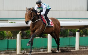 Voyage Bubble and Derek Leung cruise to victory in a recent trial. Photo: Kenneth Chan