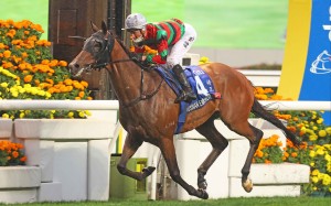 Russian Emperor wins the 2022 Group One Gold Cup at Sha Tin. Photos: Kenneth Chan