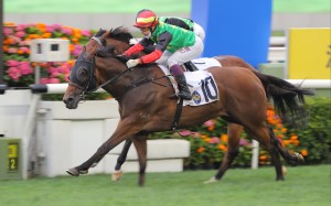 Cordyceps Six wins the Group Three Sha Tin Vase in May last year. Photos: Kenneth Chan