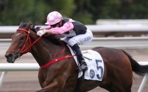Beauty Live sheds his maiden tag under Joao Moreira at Sha Tin in January 2022. Photo: Kenneth Chan