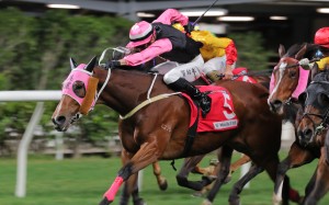 Yo Beauty wins under Antoine Hamelin at Happy Valley on December 21. Photo: Kenneth Chan