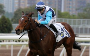 Drombeg Banner leads all the way to win under Angus Chung at Sha Tin on January 8. Photo: Kenneth Chan