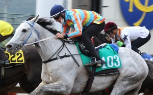 Hugh Bowman reunites with one of his former Australian rides, Senor Toba, in a Sha Tin trial on January 27. Photo: Kenneth Chan