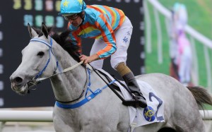 Senor Toba wins the Group Three Centenary Vase (1,800m) under Hugh Bowman at Sha Tin on Sunday. Photos: Kenneth Chan