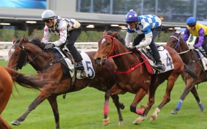 Chilean Group One winner Alacrity (left) trials under Karis Teetan at Happy Valley on January 28. Photos: Kenneth Chan