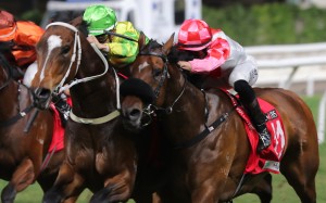 California Cible (green cap) passes the winning post first before losing on protest to Humble Star (red cap) at Happy Valley on December 28. Photo: Kenneth Chan