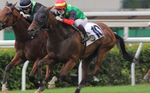 Cordyceps Six wins at Sha Tin in May last year. Photo: Kenneth Chan