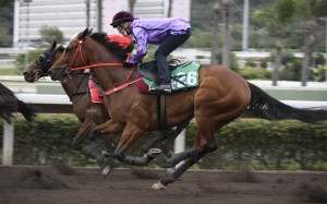 Luke Currie trials Sweet Encounter at Sha Tin recently. Photos: Kenneth Chan
