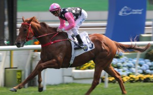 Beauty Eternal wins the Class Two Citigold Handicap (1,600m) at Sha Tin on Sunday. Photo: Kenneth Chan