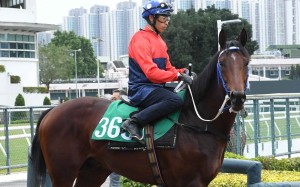 Viva Chaleur and Vincent Ho head out to trial. Photo: Kenneth Chan