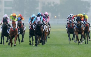 Super Sunny Sing leads the field home in last month’s Classic Cup. Photos: Kenneth Chan