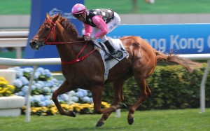 Beauty Eternal wins under Zac Purton at Sha Tin in February. Photos: Kenneth Chan