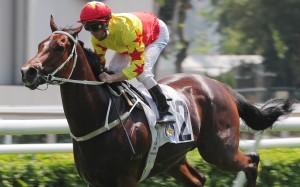 California Spangle wins the Group Three Celebration Cup at Sha Tin on September 25 in this season’s fastest 1,400m time. Photo: Kenneth Chan