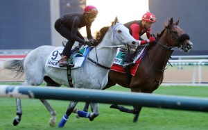 Senor Toba and Alberto Sanna (outside) gallop alongside Russian Emperor and Douglas Whyte at Meydan on Tuesday morning. Photos: Kenneth Chan