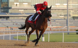 Russian Emperor gallops under trainer Douglas Whyte at Meydan on Thursday. Photos: Kenneth Chan