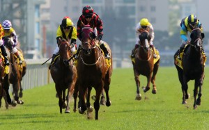 Good Standing (middle) wins the Hong Kong Macau Trophy at Sha Tin in 2019. Photos: Kenneth Chan