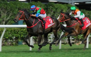 Money Catcher wins the January Cup at Happy Valley. Photos: Kenneth Chan