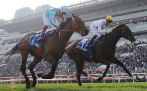 Golden Sixty (right) and Romantic Warrior will lead the local charge on Champions Day later this month. Photo: Kenneth Chan