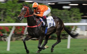 Howdeepisyourlove salutes under Karis Teetan at Happy Valley last month. Photos: Kenneth Chan