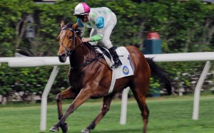 Gallant Hero salutes under Zac Purton at Happy Valley on Wednesday night. Photos: Kenneth Chan