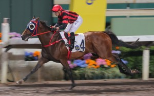 Hava Nageela salutes under Silvestre de Sousa at Sha Tin last month. Photo: Kenneth Chan