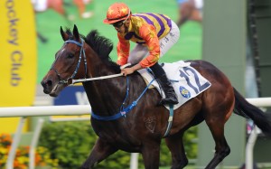 Straight Arron wins the Class Two Wan Chai Gap Handicap (1,800m) under Vincent Ho at Sha Tin on Sunday. Photo: Kenneth Chan