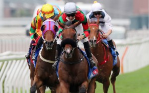Russian Emperor wins last year’s Champions & Chater Cup. Photos: Kenneth Chan