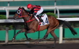Hava Nageela wins easily under Silvestre de Sousa at Sha Tin on March 29. Photo: Kenneth Chan