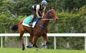 Galaxy Witness gallops at Sha Tin on Monday. Photos: Kenneth Chan