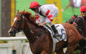 War Weapon registers his first Hong Kong win at Sha Tin on April 24. Photos: Kenneth Chan