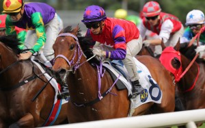 Flying High completes his hat-trick of Sha Tin 1,000m wins under Matthew Chadwick on May 7. Photo: Kenneth Chan