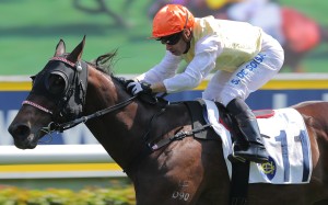 Silvestre de Sousa rides a winner at Sha Tin in March. Photos: Kenneth Chan