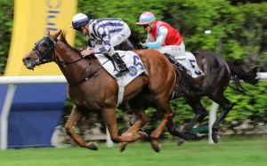 Seasons Wit gets the better of Harmony N Blessed at Happy Valley on Wednesday night. Photo: Kenneth Chan