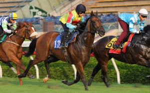 Wellington trials under Alexis Badel at Sha Tin on Tuesday morning. Photos: Kenneth Chan