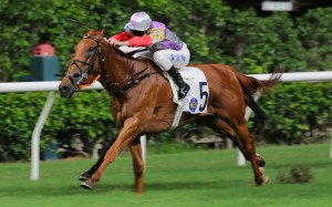 David Hall’s Fast Serve wins under Luke Ferraris at Happy Valley. Photo: Kenneth Chan