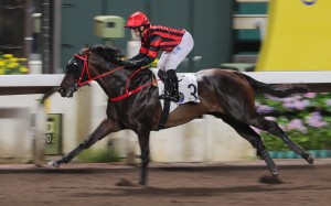 Alexis Badel steers Erimo to his four-length win over 1,650m at Sha Tin on May 10. Photo: Kenneth Chan