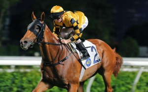 Flying Ace completes Zac Purton’s four-timer and David Hall’s treble at Sha Tin on Sunday. Photo: Kenneth Chan.