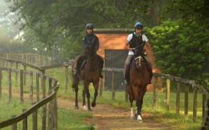 Wellington (left) and his companion Kwaichung Brothers head out to gallop at Manton Estate on Thursday morning. Photos: Pun Kwan