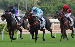 Tuchel (blue and white colours) wins a Class Two contest over 1,600m at Sha Tin on May 21. Photo: Kenneth Chan