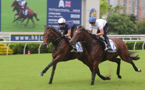 Hong Kong International Sale lots seven and 10 stretch out at Saturday’s breeze up. Photos: Kenneth Chan