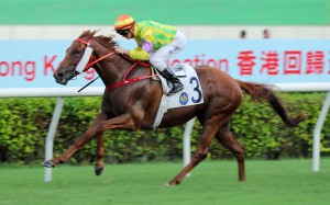 Sword Point wins the Class Two Hong Kong Reunification Cup (2,000m) at Sha Tin on Saturday. Photo: Kenneth Chan
